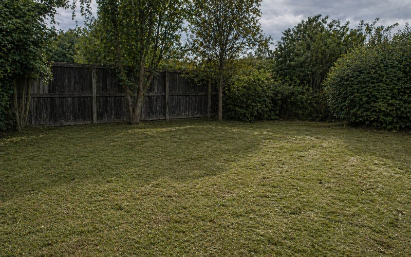 After: Clean, graded yard