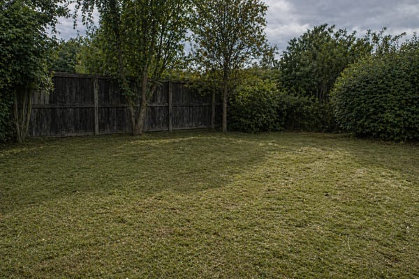 Clean yard after clearing