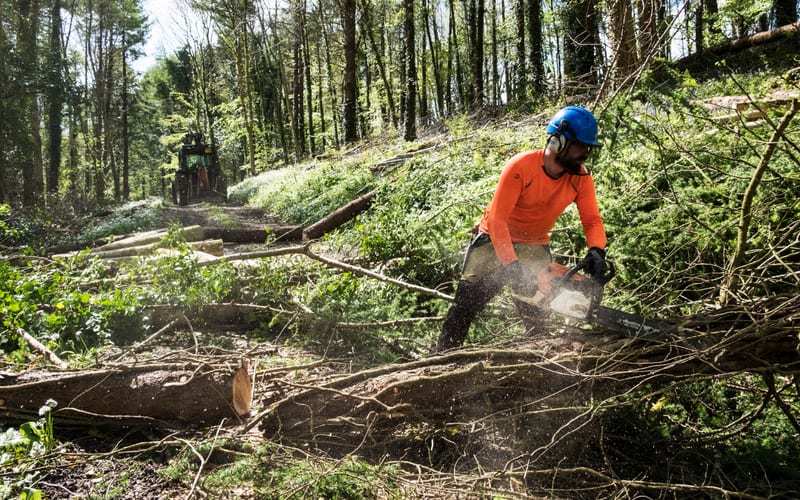 Homeowner directing excavation work on their property